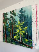 Forest Bath-2
