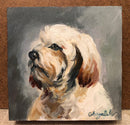 Little Puppy-2