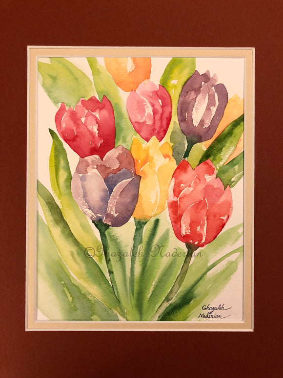 Colorful Tulips