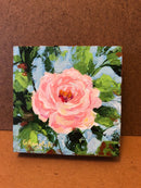 Pink Rose-2