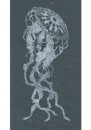 Jellyfish-1