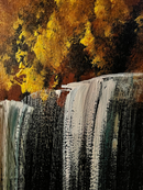 Canadian forest light-2