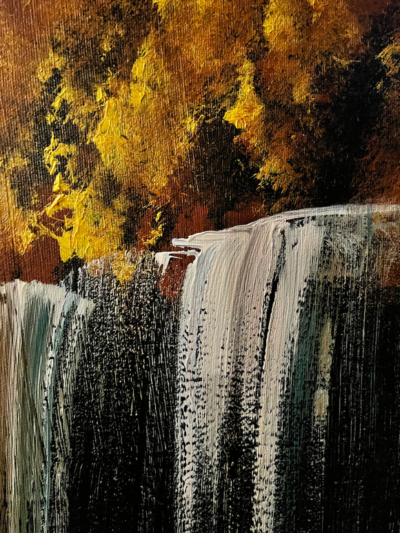 Canadian forest light
