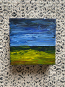 Open Field-2