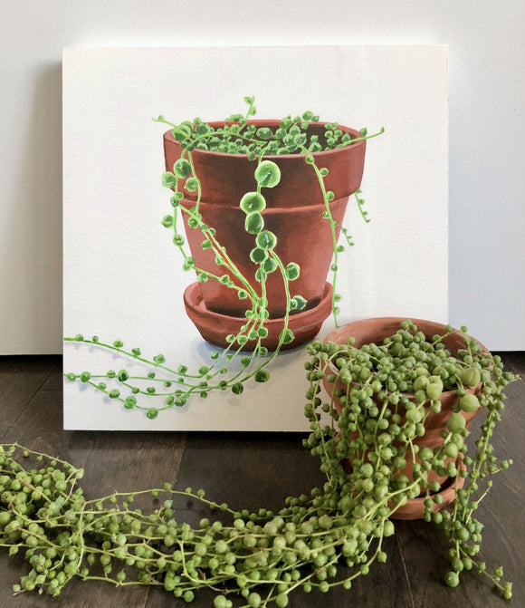 String of Pearls