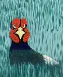 Pheasant/雉-3