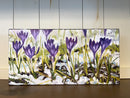 Spring Crocus Study-2