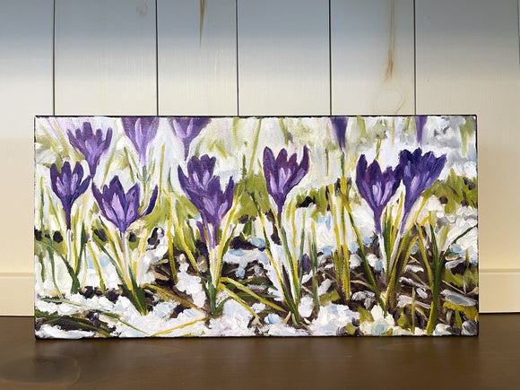 Spring Crocus Study