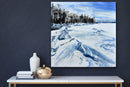 Icescape X-2