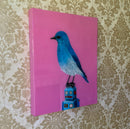 Mountain Bluebird on Toy Robot-2