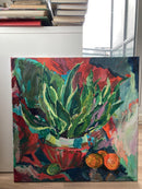 Sansevieria-2