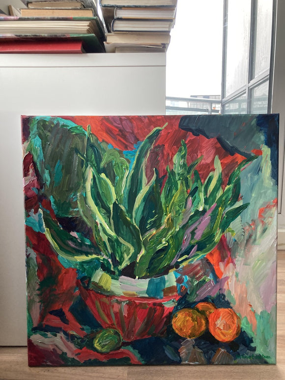 Sansevieria