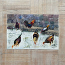 Colored Chickens-3