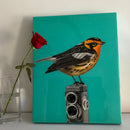 Blackburnian Warbler on Rolleiflex Camera-2