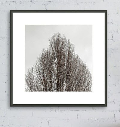 Winter No2