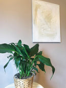 Serenity (2 of 3 paintings)-3