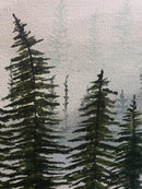 Misty Forest-4