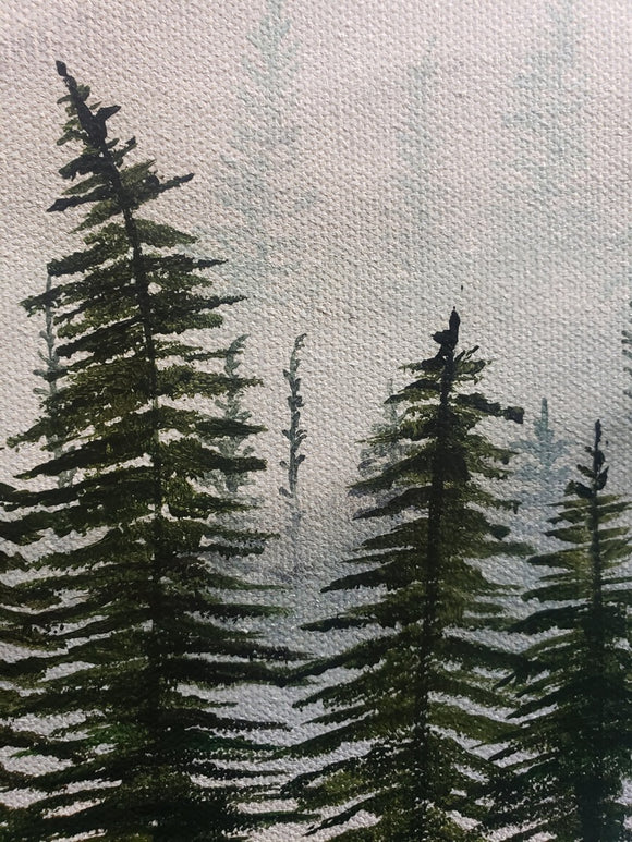 Misty Forest