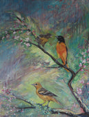 Baltimore Orioles in Crabapple Blossoms-4