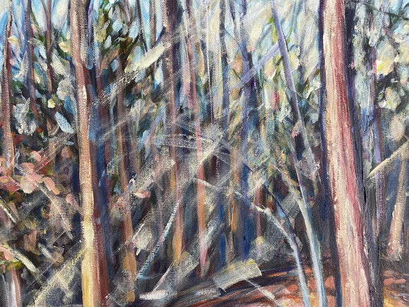 Sun Streams in the Forest