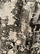 Textures of January-4