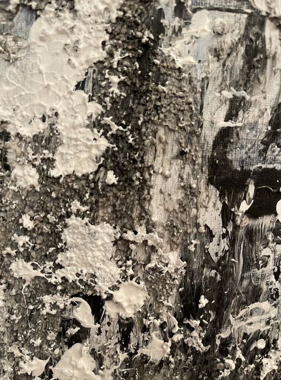 Textures of January