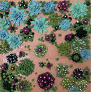 3D succulents-1