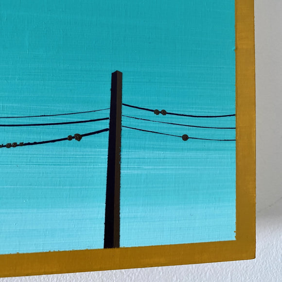 Birds on a Wire (ongoing series)