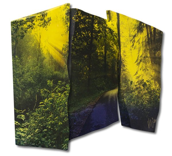 The Creek, the Road, the Forest—Triptych