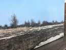 Spring Thaw-4