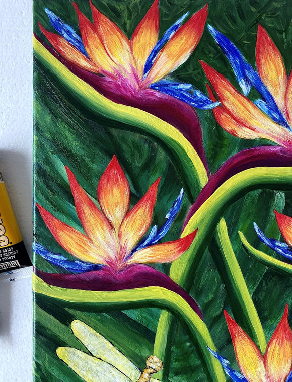 Bird of Paradise