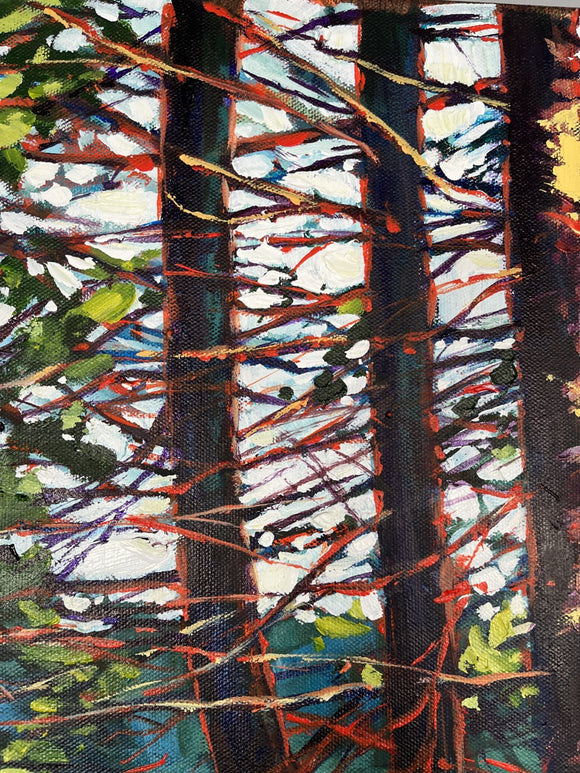Along the Trail at Lake Achray, Algonquin Park