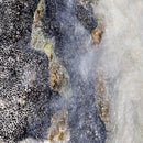 Origin No2-1