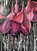 "Reminiscence of fuchsia days"-3