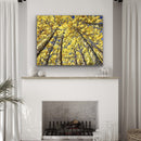 Golden Canopy-3