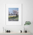 Cherry Blossom-3