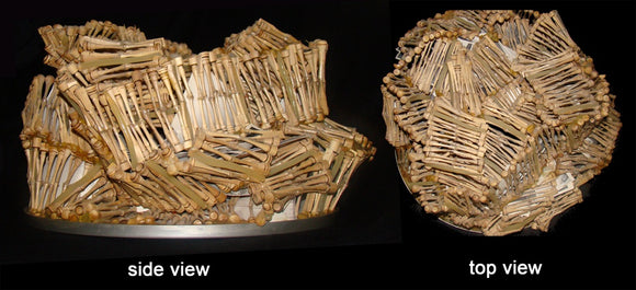 DNA Fragment: Vision and Memory