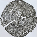 "The Circle of Life"-3
