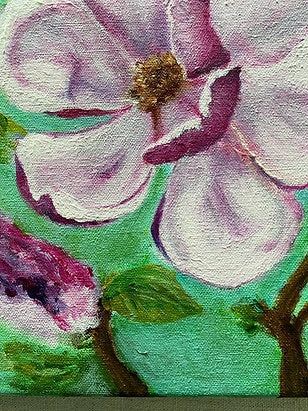 Magnolia Study II