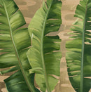 Botanica I-1