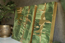 Botanica II-3