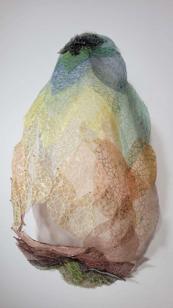 Womb: 9th Edition