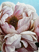 Delicate peonies-3