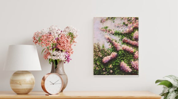 Lilacs