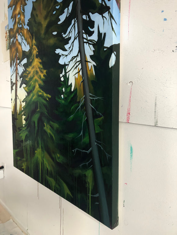 Golden Hour (Boreal Forest)