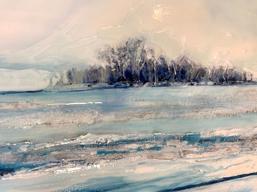 Icescape XIV