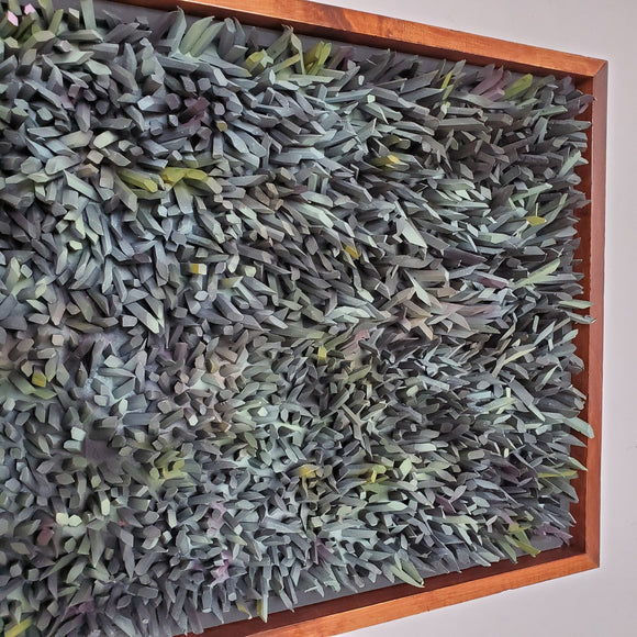 Moss covered ground