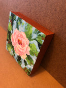 Pink Rose-3