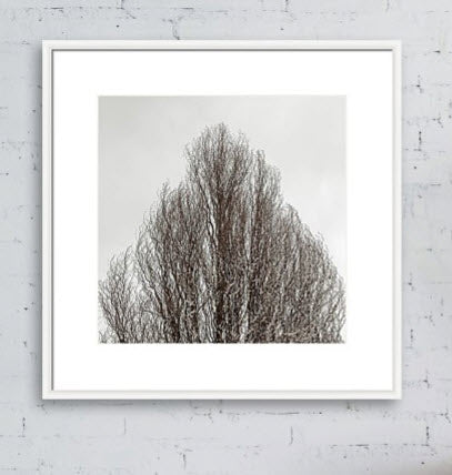 Winter No2