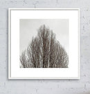 Winter No2-3